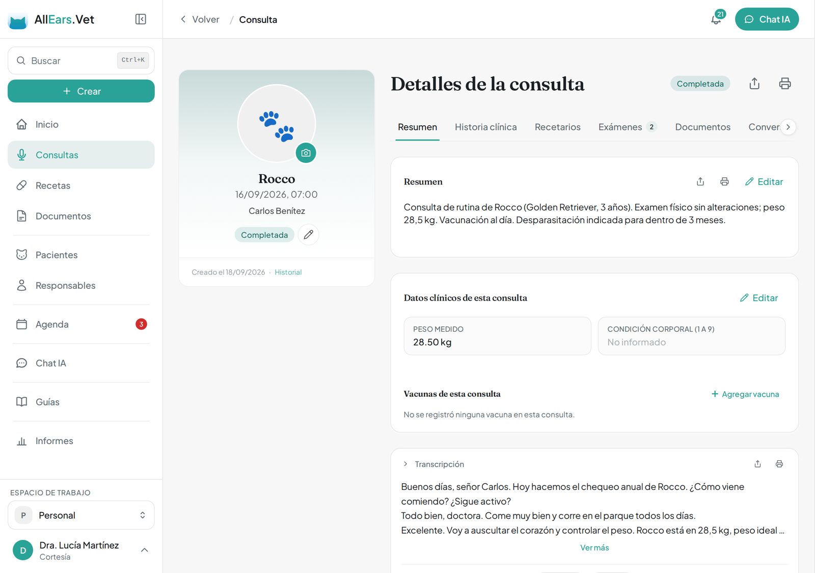 A mesma tela de consulta com a interface, o resumo da IA e a transcrição em espanhol